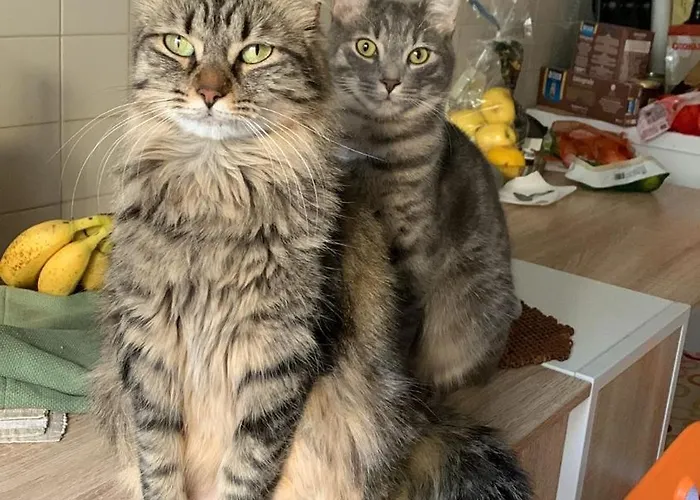 Pensión La Stanza Di Marta